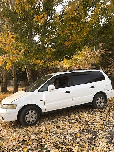 хонда фит сатып алуу: Honda Odyssey: 1998 г., 2.3 л, Автомат, Бензин, Вэн/Минивэн — 2