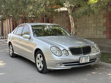 американская короткошёрстная кошка купить: Mercedes-Benz E-Class: 2004 г., 3.2 л, Автомат, Бензин, Седан