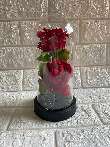 Praznična dekoracija: Večna ruža u staklenom zvonu sa led lampicom 🌹✨ čarobna ruža u — 6
