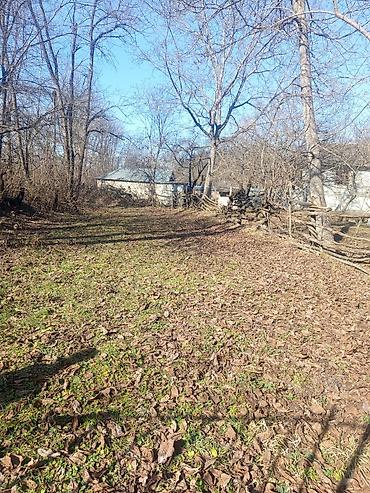 Torpaq sahələrinin satışı: Kənd təsərrüfatı — 1