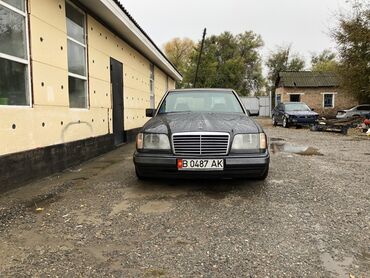 Mercedes-Benz: Mercedes-Benz W124: 1995 г., 2.2 л, Автомат, Бензин, Седан