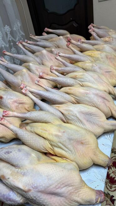 Птица: Индюк :, 4 кг, 5 кг, 6 кг, Самовывоз, Платная доставка — 3