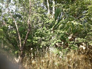 Həyət evləri və villaların satışı: 7 otaqlı, 150 kv. m, Kredit yoxdur, Orta təmir — 19