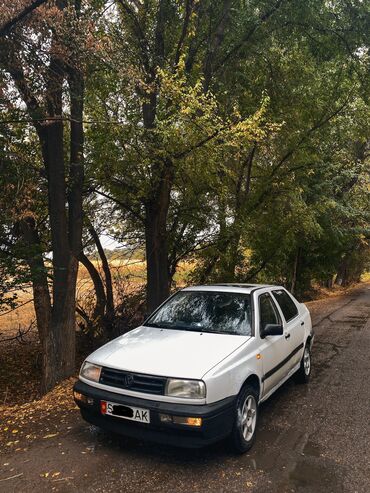 машына венто: Volkswagen Vento: 1993 г., 1.8 л, Механика, Бензин, Седан