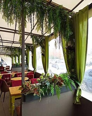 Başqa xidmətlər: Green House Azerbaijan. Dekor interyer Kafe×restoranlar üçün — 17