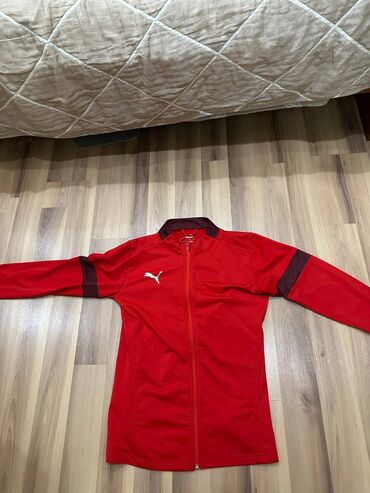 национальные головные уборы: Эркектердин спорттук костюму, S (EU 36), Puma, Колдонулган, түсү - Кызыл, Акылуу жеткирүү