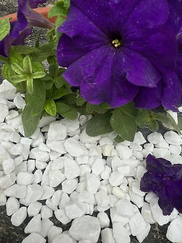 Мраморная крошка: Мраморная крошка, Белый, Ландшафтная, В тоннах — 6