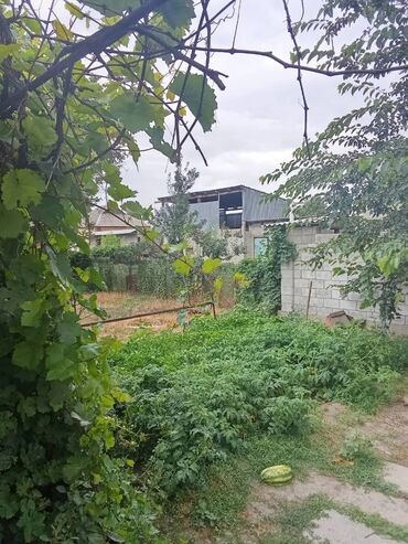 срочно продаю дом осмонкула: 6 соток, Айыл чарба үчүн, Кызыл китеп