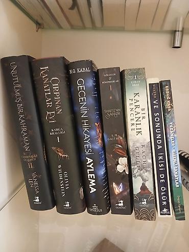Fantastika və gənc-yetkin janrlarında kitab dəsti, Sondaki iki kitab