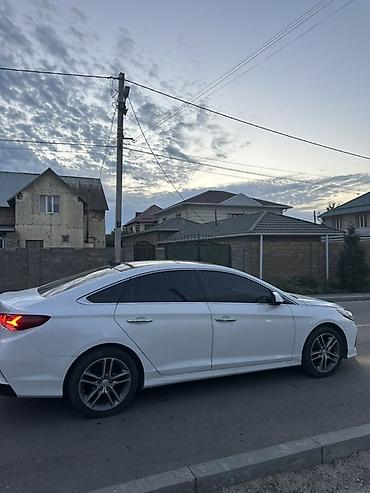 elantra 2017: Hyundai Sonata: 2017 г., 2 л, Автомат, Газ, Седан — 5
