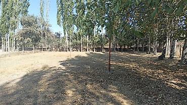 кара ой участок: 🏡 ЖЕР УЧАСТОГУ САТЫЛАТ! 📍 Жалал-Абад, Кара-Чолок айылы 📐 5 сотых 📕 — 2