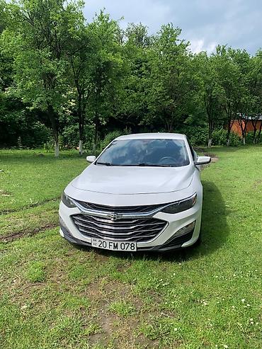 guzgu: Chevrolet Malibu sedan – ağ rəng Əsas xüsusiyyətlər: - Kuzov: 4 — 2