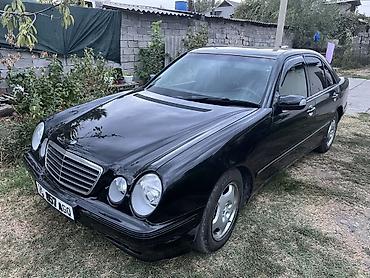 купить w210: Mercedes-Benz E-Class: 2001 г., 2.7 л, Автомат, Дизель, Седан — 5