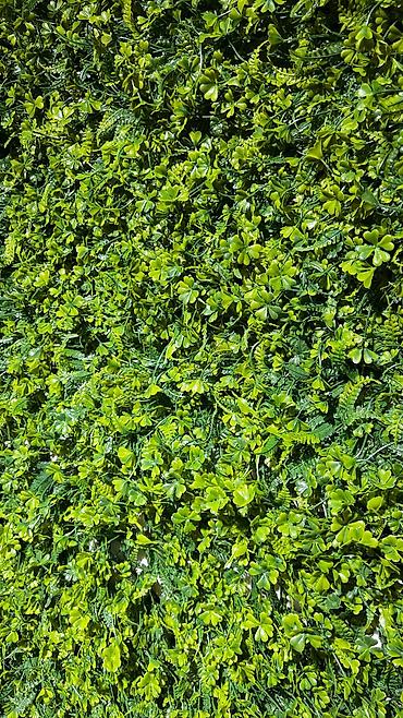 Напольные покрытия: 🌿 Dekorlar məkanınıza gözəllik qatır! 🏠 Təbii görünüşlü, zövqlə — 2