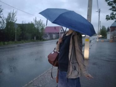 Зонты: Зонт, Складной, Механический, Новый, Унисекс