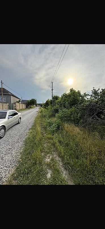 20 ci sahe dairesi: 6 sot, Tikinti, Kupça (Çıxarış) — 1