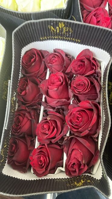 букеты в коробках: Продаем оптом и в розницу, пачками,Срезанные розы премиум-класса в