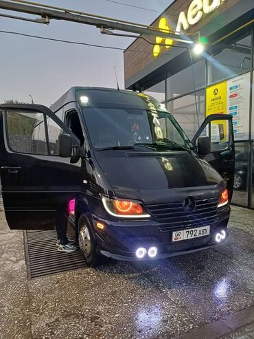 Трансфер, пассажирские перевозки: Бус — 5