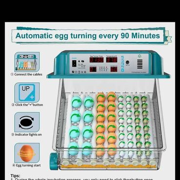 İnkubatorlar: Yeni satışda 64 yumurtalıq inkubator. Fotolar ona aiddir. Tam -da lalafo.az — 9 İnkubatorlar: Yeni satışda 64 yumurtalıq inkubator. Fotolar ona aiddir. Tam — 9