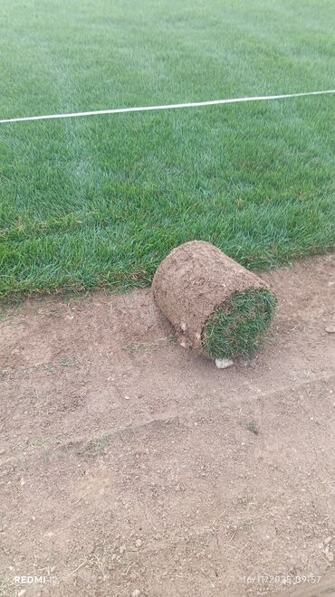 Süni qazon: Rulet şəklində hazır qazon örtüyü - Tətbiq: həyət və bağ sahələri — 3