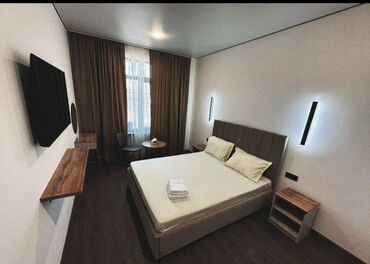 дома барачного типа: Мини-номер/студия с отдельным санузлом в современном стиле. Описание