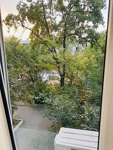 продаю квартиру в балыкчы: 3 комнаты, 58 м², Ата-Тюрк парк 104 серия, 2 этаж, Свежий ремонт — 10