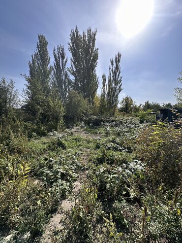 Продажа домов: Дом, 40 м², 2 комнаты, Агентство недвижимости, Старый ремонт — 10