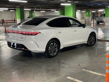 BYD: BYD : 1.5 l | 2024 il Sedan — 5