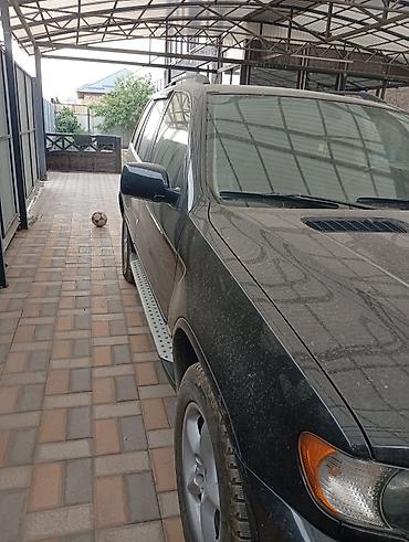 bwv e34: BMW X5: 2003 г., 3 л, Автомат, Дизель, Кроссовер — 8