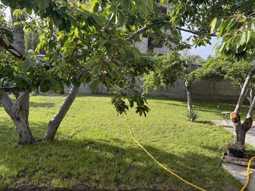 Иссык-Куль 2025: Таунхаус, Чолпон-Ата, Парковка, стоянка — 6