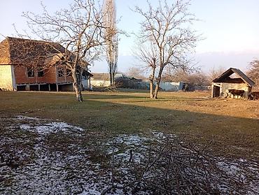 Torpaq sahələrinin satışı: 20 sot, Tikinti, Maklerlər narahat etməsin, Kupça (Çıxarış) -da lalafo.az — 15 Torpaq sahələrinin satışı: 20 sot, Tikinti, Maklerlər narahat etməsin, Kupça (Çıxarış) — 15