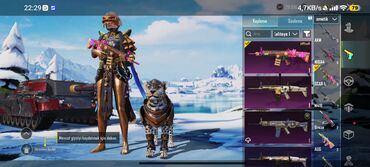 Digər: PUBG Mobile hesabı – zəngin kosmetik kolleksiya - X-Suit — 12