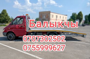 Эвакуаторы: С лебедкой