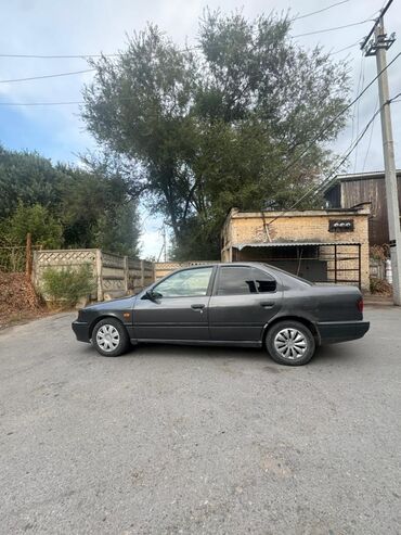 машины до 300000: Nissan Primera: 1994 г., 1.6 л, Механика, Бензин, Седан