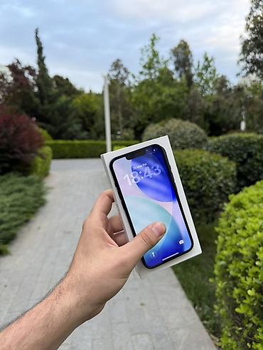 Apple iPhone: IPhone 13, Qara, Face ID — 18