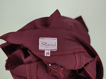 lidl softshell damski: Spodnie materiałowe damskie, rozmiar M — 4