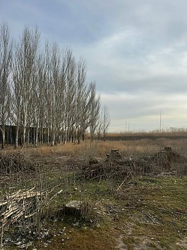 Продажа участков: 86 соток, Для бизнеса, Красная книга, Тех паспорт at lalafo.kg — 6 Продажа участков: 86 соток, Для бизнеса, Красная книга, Тех паспорт — 6