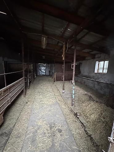 Продажа коттеджей и домов: 🔷 Продаётся дом в с. Сокулук 📍 Ул. Калинина 🔷 Дом: 	•	66,8 м², 4 — 12