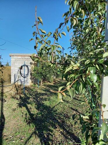 Prodaja zemljišta: Poljoprivredno zemljište — 18