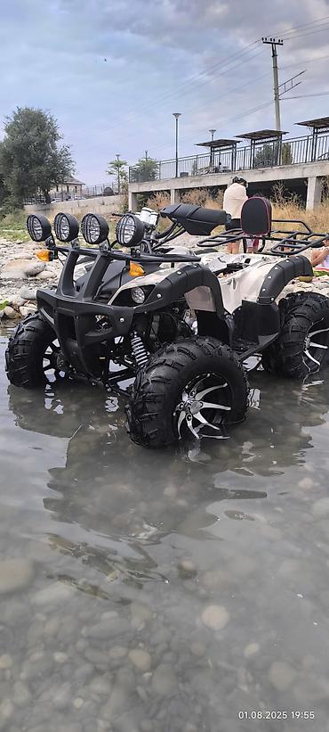 Квадроциклы: Квадроцикл ATV (двухместный), внедорожный. Основные характеристики и — 14