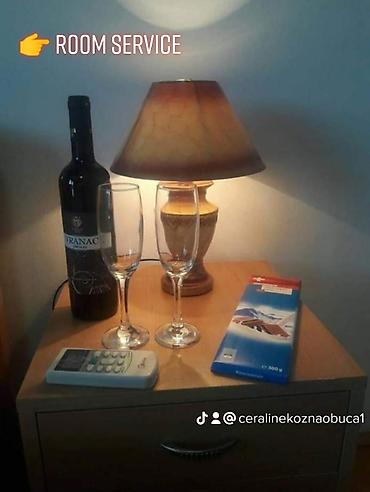 kuca izdavanje: Izdajem apartman u Sokobanji na izuzetnoj lokaciji,maksimalno — 10