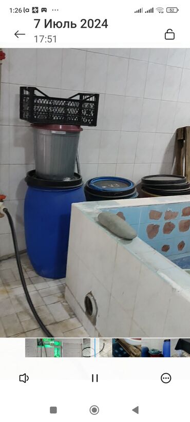 Otaqların uzunmüddətli kirayəsi: Kolbasa bağırsaq sexi Keşlədə arendaya verilir. 55 kv. m hər şəraiti — 6