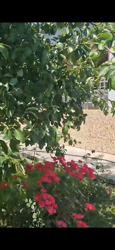 Недвижимость: 3 комнаты, 115 м², Свежий ремонт — 4
