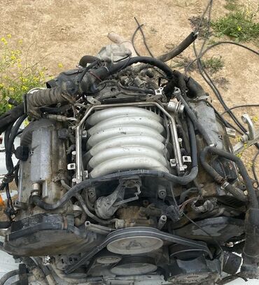 Радиаторы: Audi V8/2.4 benzin mühərriki və idarəetmə bloku (ECU) - Mühərrik