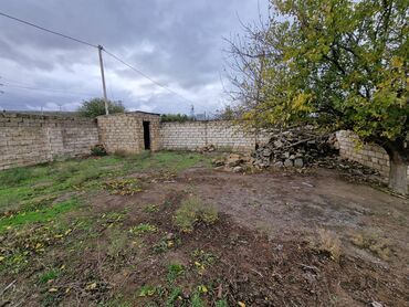 Həyət evləri və villaların satışı: Hasarlı daş hasarlı həyət evi və torpaq sahəsi - Dörd tərəfi hündür — 3