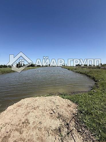 Продажа сельхоз предприятий: Ферма КРС, 20 соток, Электричество, Холодная вода — 12