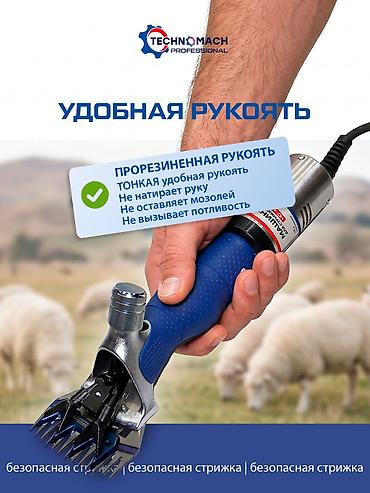 Товары и оборудование для с/х животных: Овцестрижка, которая не греется при работе! ⠀ В компании «Техномаш» — 5