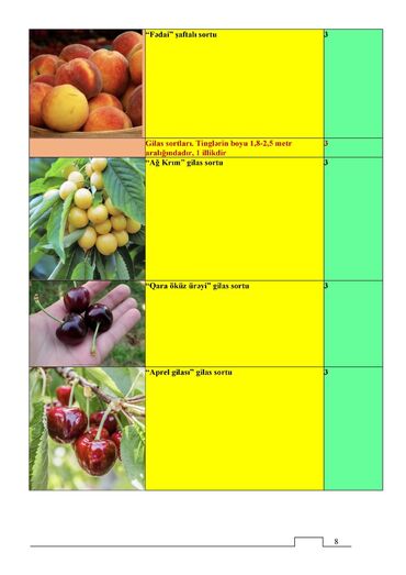 Tinglər: Meyvə və dekorativ ağac tingləri Təsvir: - Tərtər rayonu ərazisində — 10