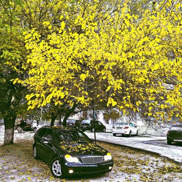 Mercedes-Benz: Mercedes-Benz C‑Class Kombi (W203) – universal kuzov - Kuzov: 5 — 1