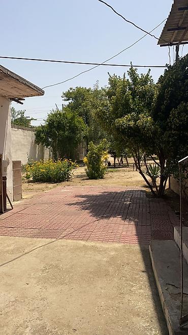 goradil: 10 sot, Mülkiyyətçi, Kupça (Çıxarış) — 3